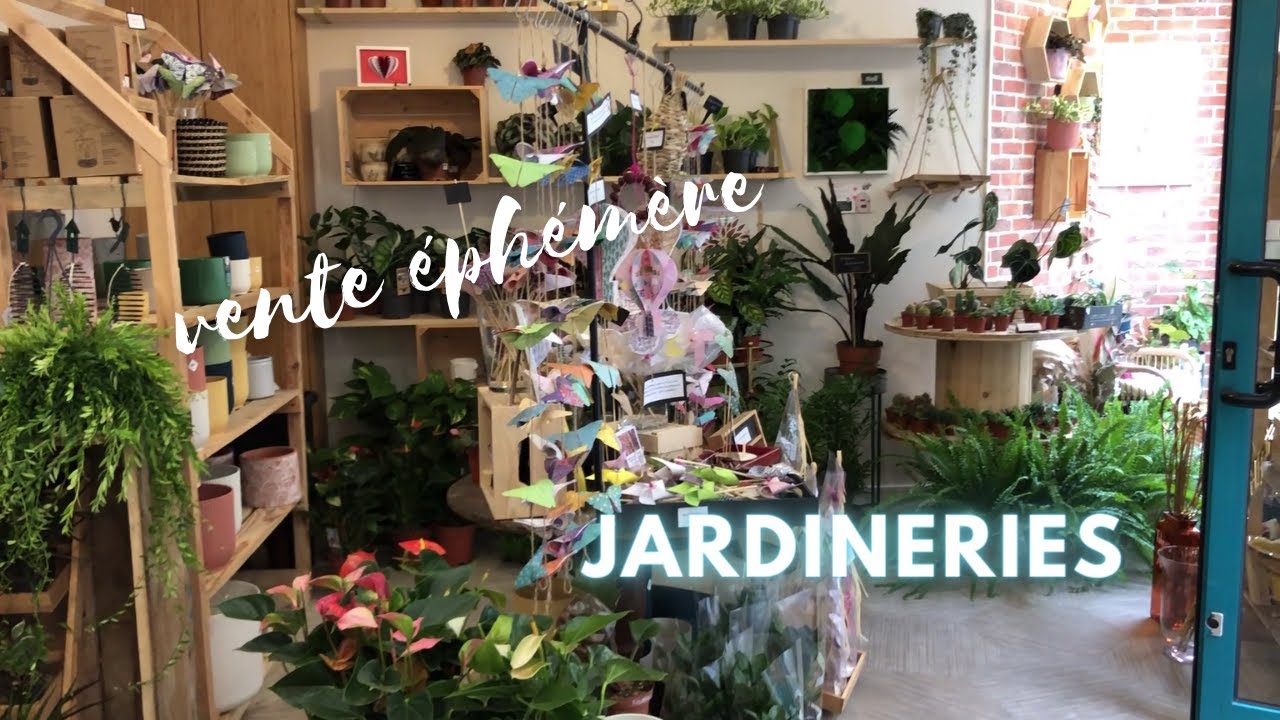 Rempote jardinerie, Le goût des plantes, Jardiland Metz Borny