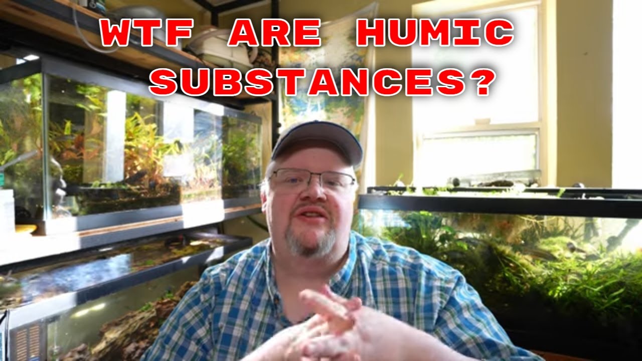Nature's SECRET Weapon Against Fish Disease? Understanding Humic Substances