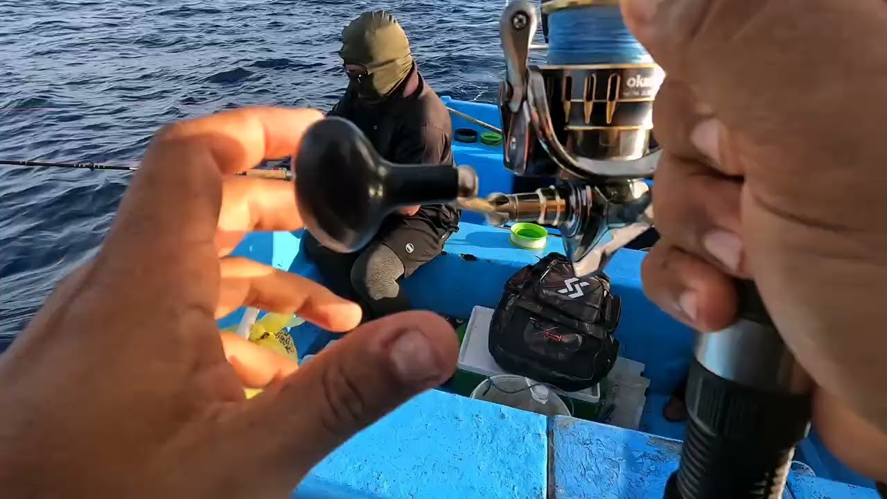 Seguimos pescando carnada 