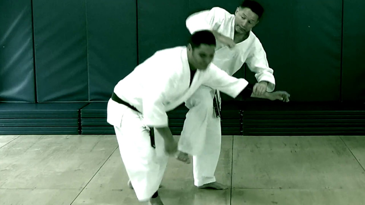 Devastating Low Kicks