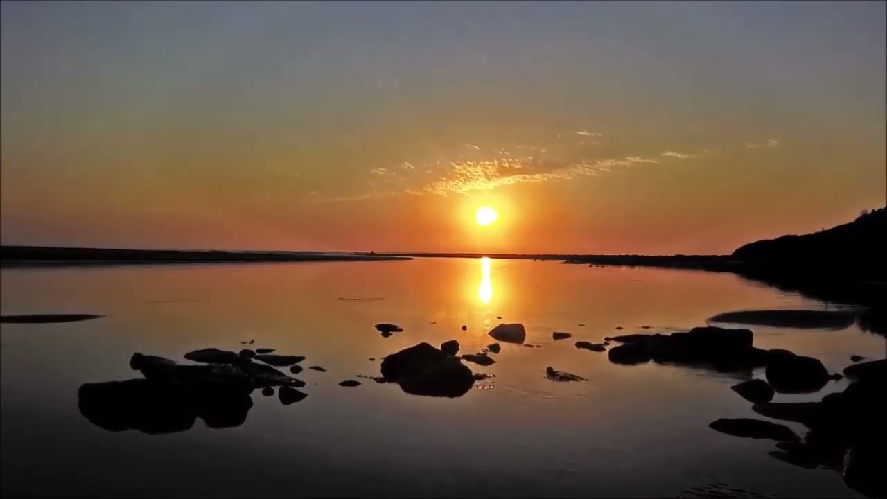 آروین مه فام. افشاری اثر مرتضی محجوبی. صدقی آسا حسینی. انوشه. عمیدی فرد