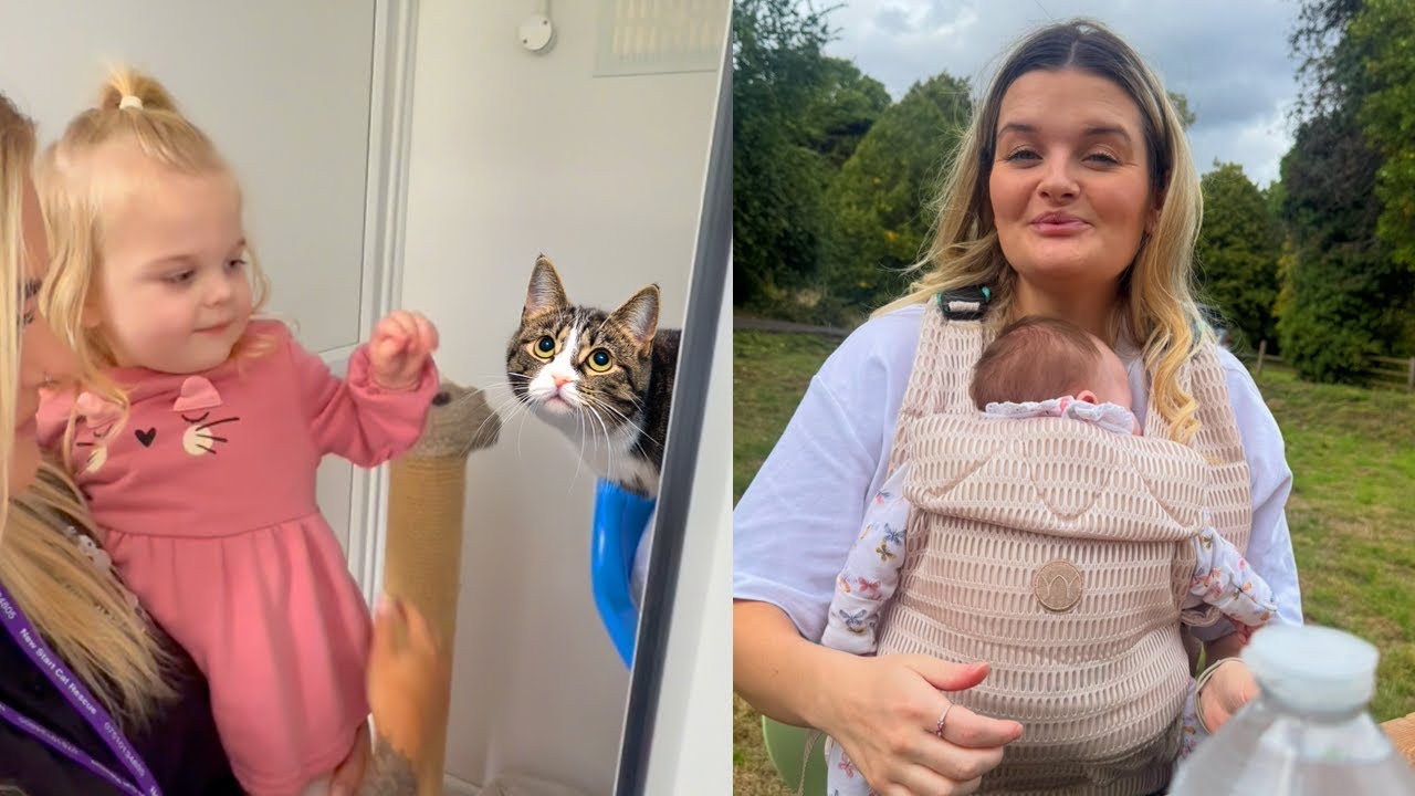 Taking Arabella to Get a CAT… 😱 Huge Storm & Home Shopping!