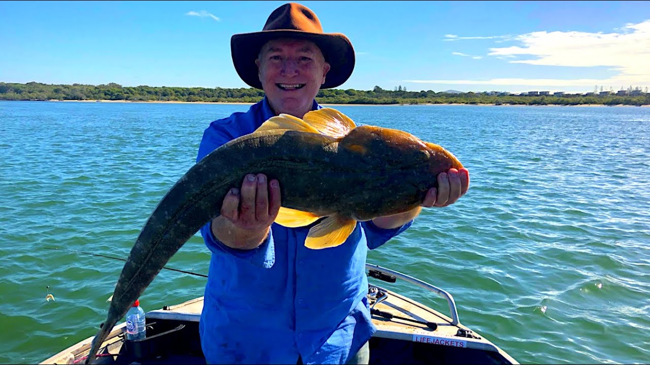 BAIT FISHING for Monster Flathead