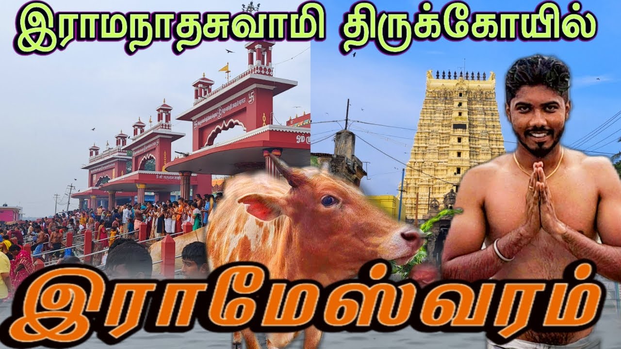 ராமேஸ்வரம் ராமநாதசுவாமி கோயில் VLOG🙏🙏🙏 !!! | RAMESWARAM TEMPLE TOUR | #rameswaram #mathan'sjourney