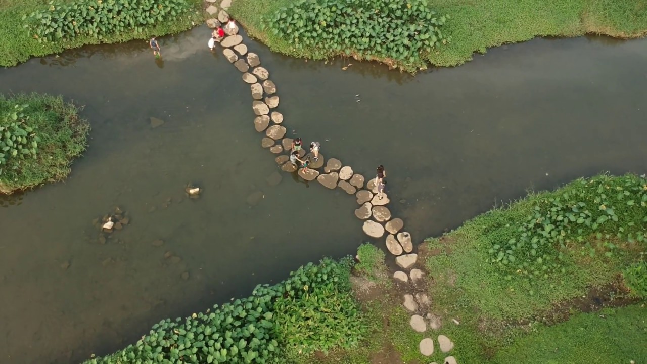 Drone: Follow The Stream @ Bishan - Ang Mo Kio Park