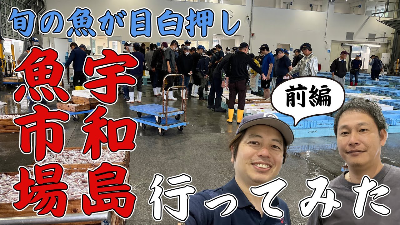 【前編】宇和島魚市場に行って旬の魚の解説してもらったら楽しすぎたwww