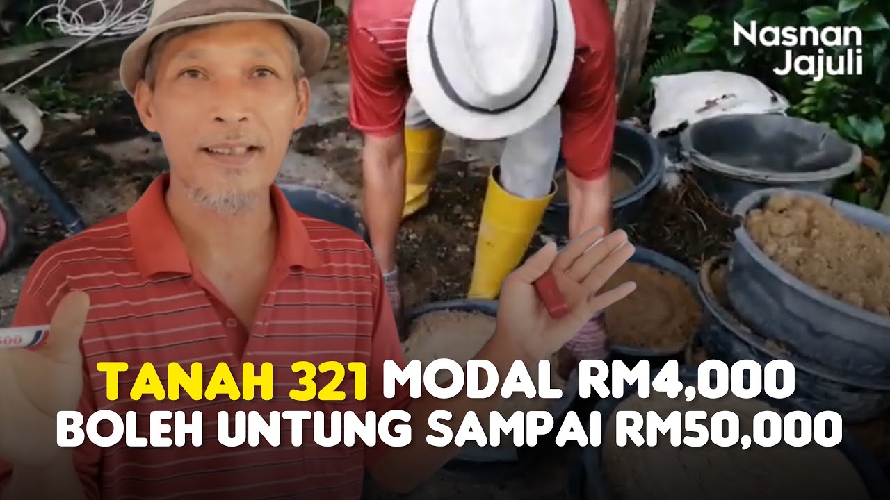 Hanya Bermodalkan RM4,000 Boleh Dapat Untung Sampai RM50,000 Dengan Campuran Tanah 321!