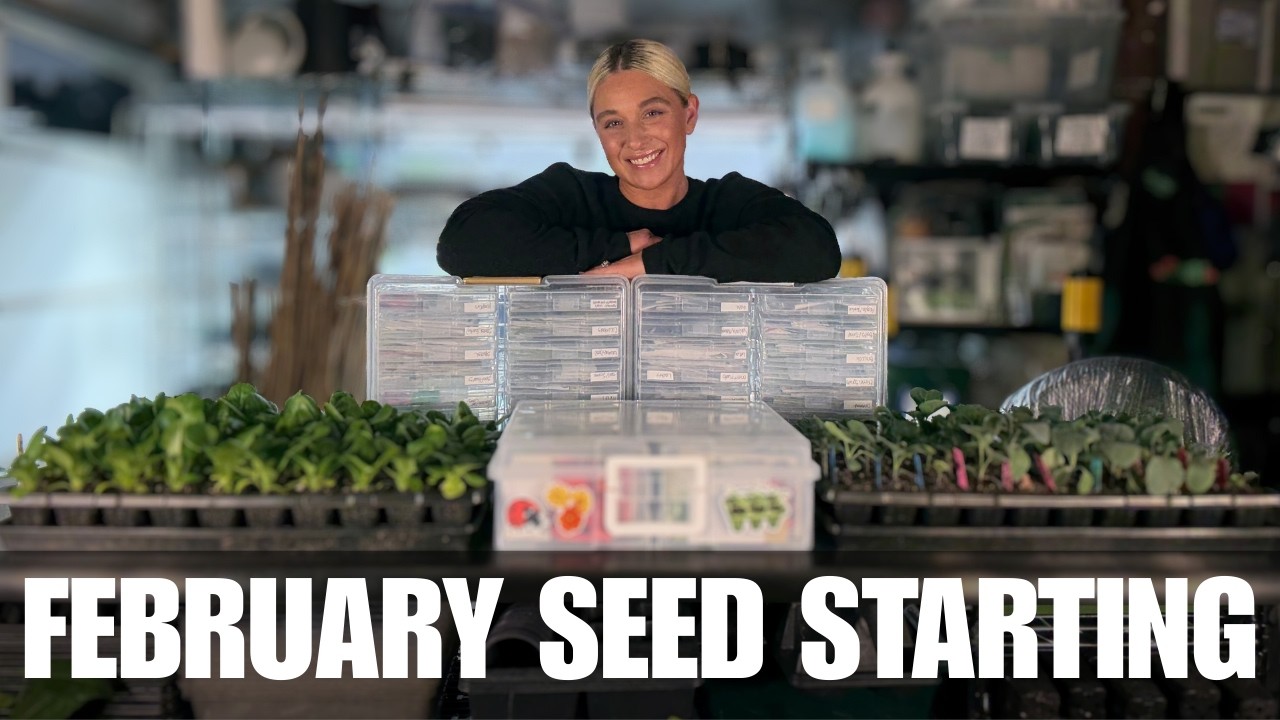 SEED STARTING | February 2026 (Tomatoes & Peppers) New and Favorite Varieties!!