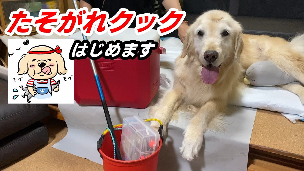 【たそがれクック】ハゼ釣りに行ってクッキングして晩酌して、、、楽しい１日になりました。はっちも喜んで食べてくれました。