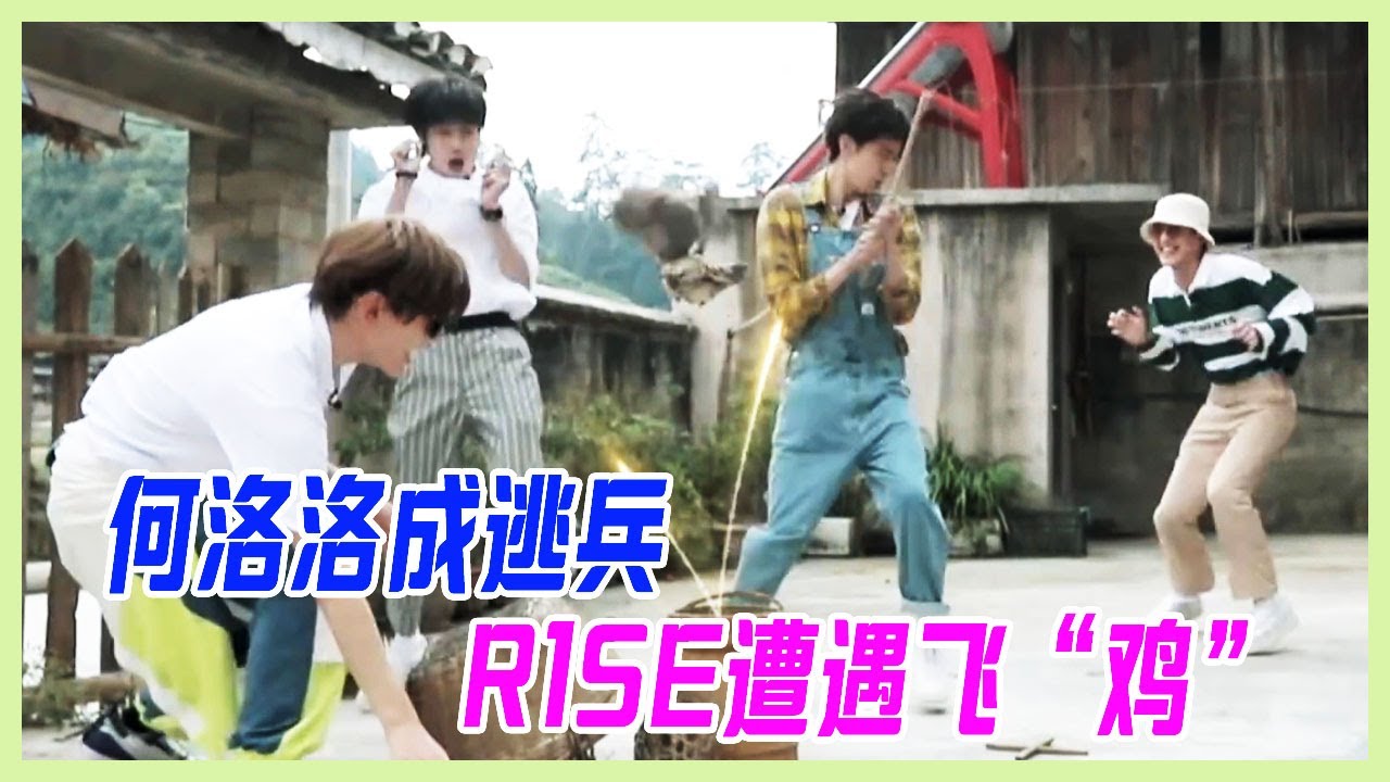R1SE抓雞日常，最慫何洛洛成逃兵，R1SE遭遇飛“雞”，全員逃竄太搞笑。【十一少年的秋天】