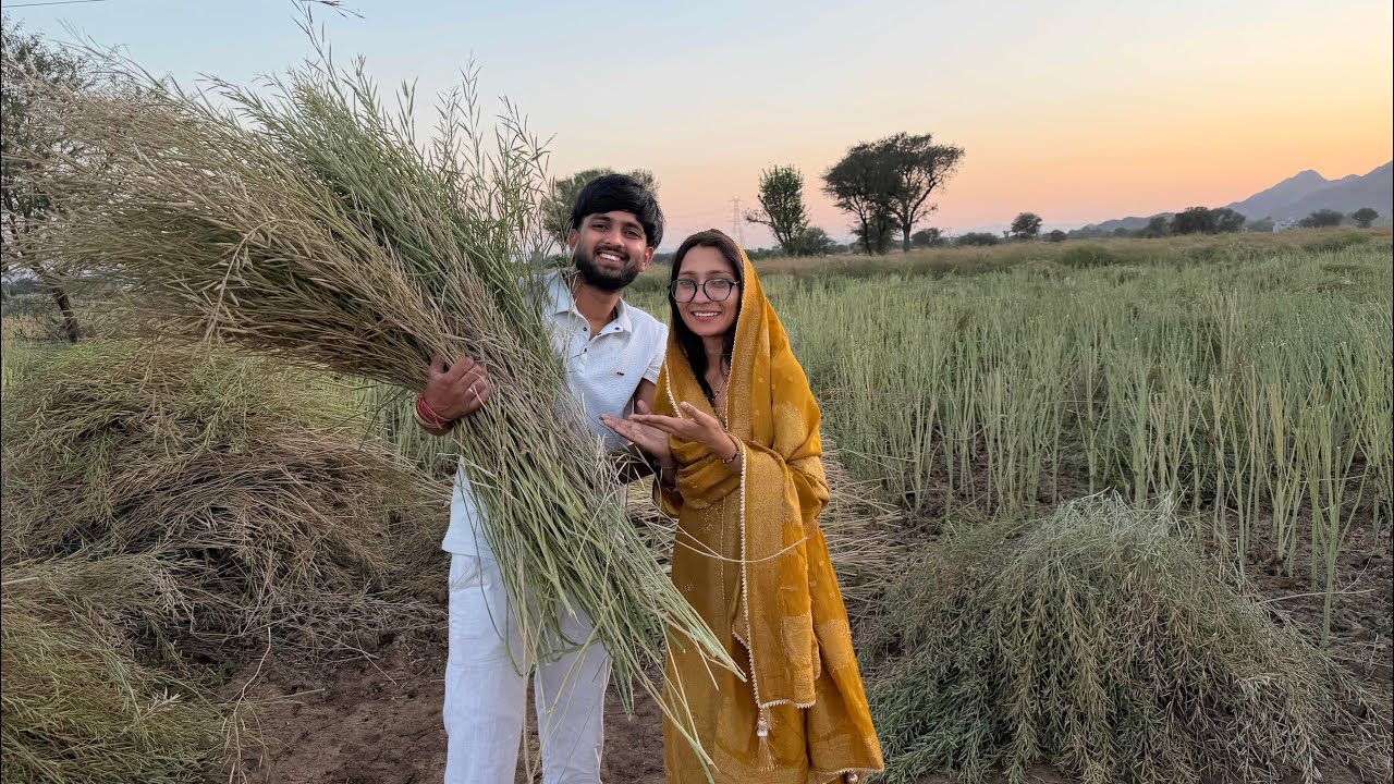 एक दिन में कर दी पूरे खेत की कटाई 😁🥹#chikayadavvlog #familyvlog 