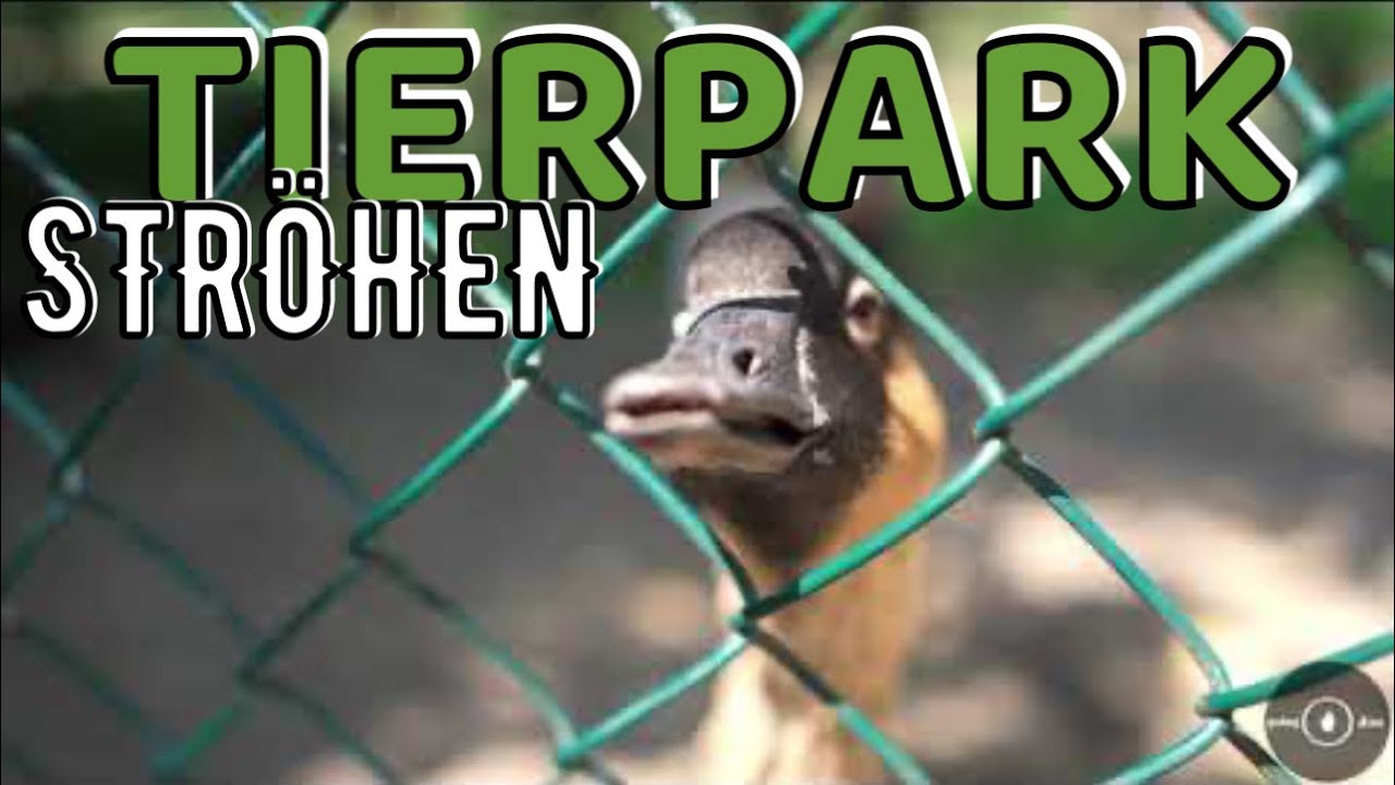 Tierpark Str&ouml;hen - RELAXING SIGHTSEEING