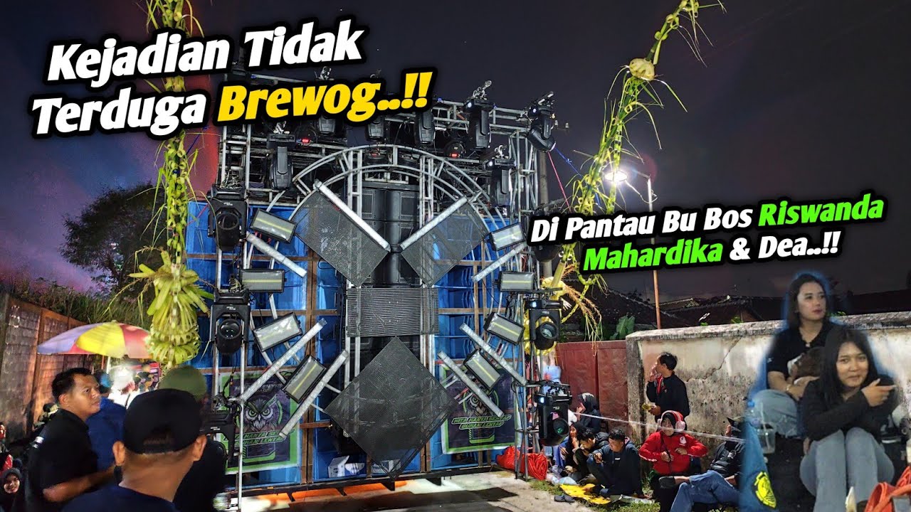 Kejadian Tidak Terduga Brewog..!! Tiba Tiba Mati Total di Pantau Bu Bos Riswanda Mahardika..!!