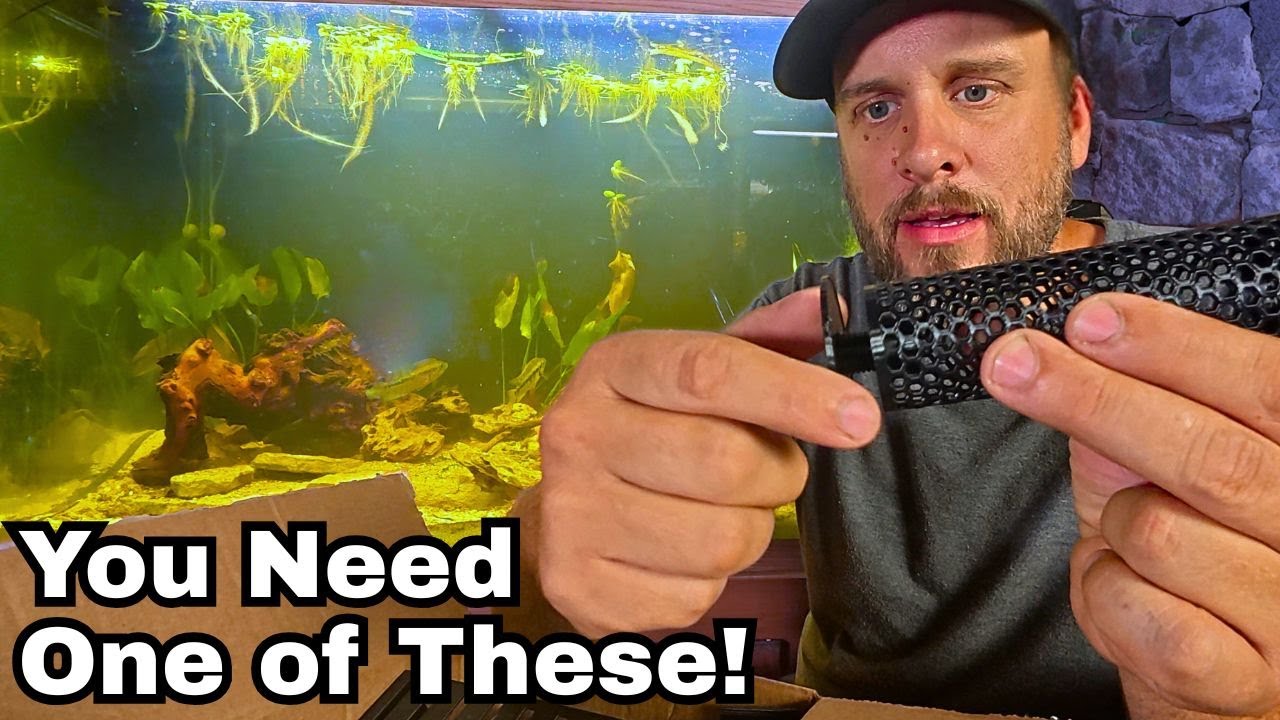 10 Must Have Aquarium Upgrades Under $20