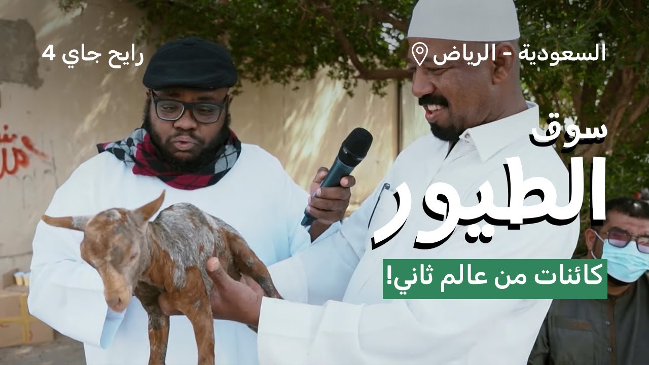 هنا سوق الطيور الرياض  | رايح جاي الموسم الرابع
