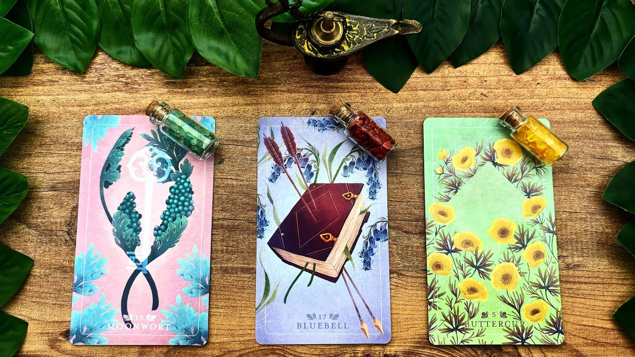 SUPRISE COMING DIRECTLY FROM THE UNIVERSE! 🔐📖🌼 | Pick a Card Tarot Reading