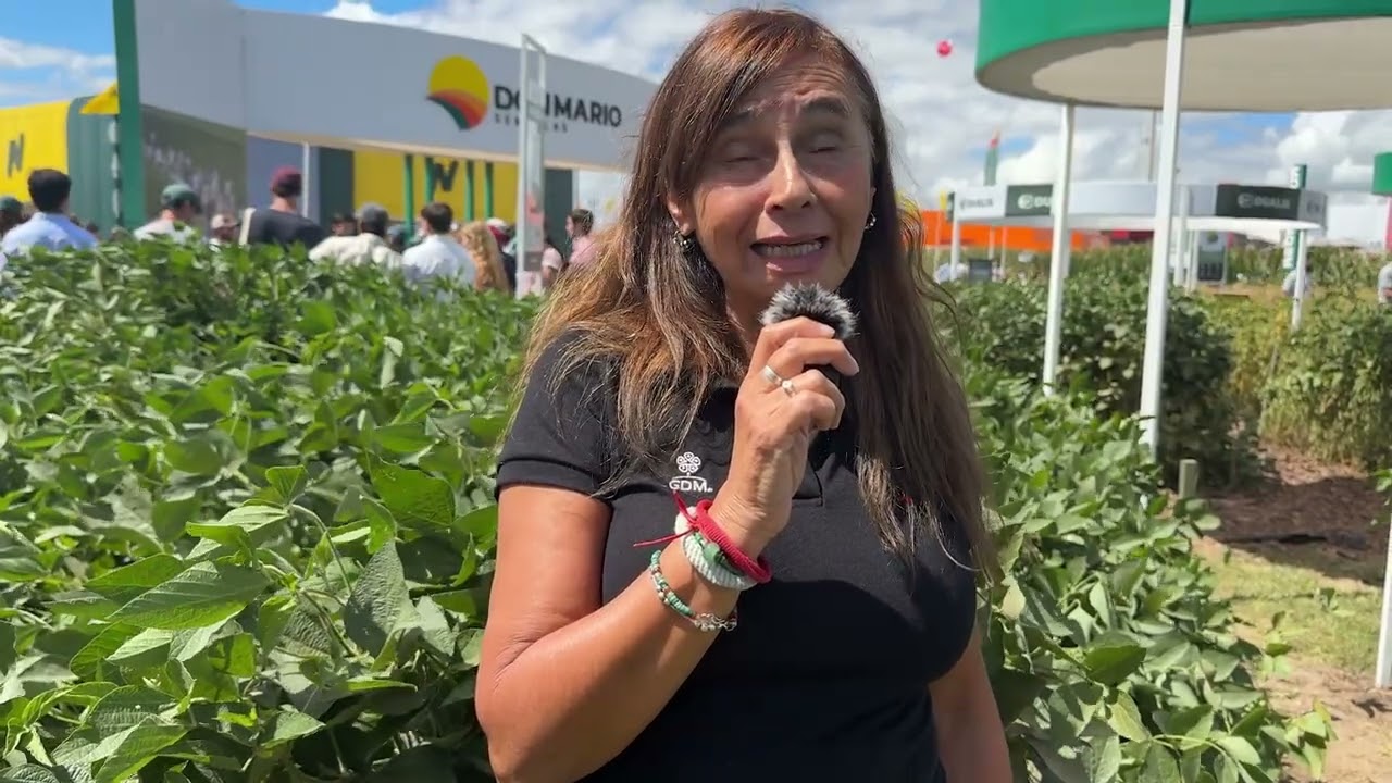 Mirta Antongiovanni. GDM en Expoagro