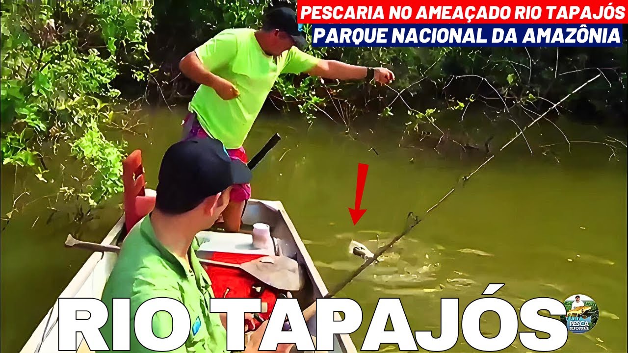 RIO TAPAJÓS AMEAÇADO! PESCAR NA AMAZÔNIA É SEMPRE GARANTIA DE AVENTURA E MUITOS PEIXES NA LINHA