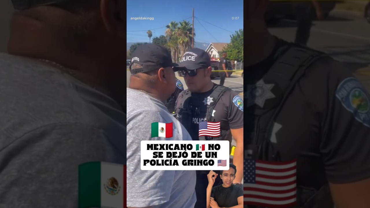 As&iacute; son los mexicanos en el extranjero