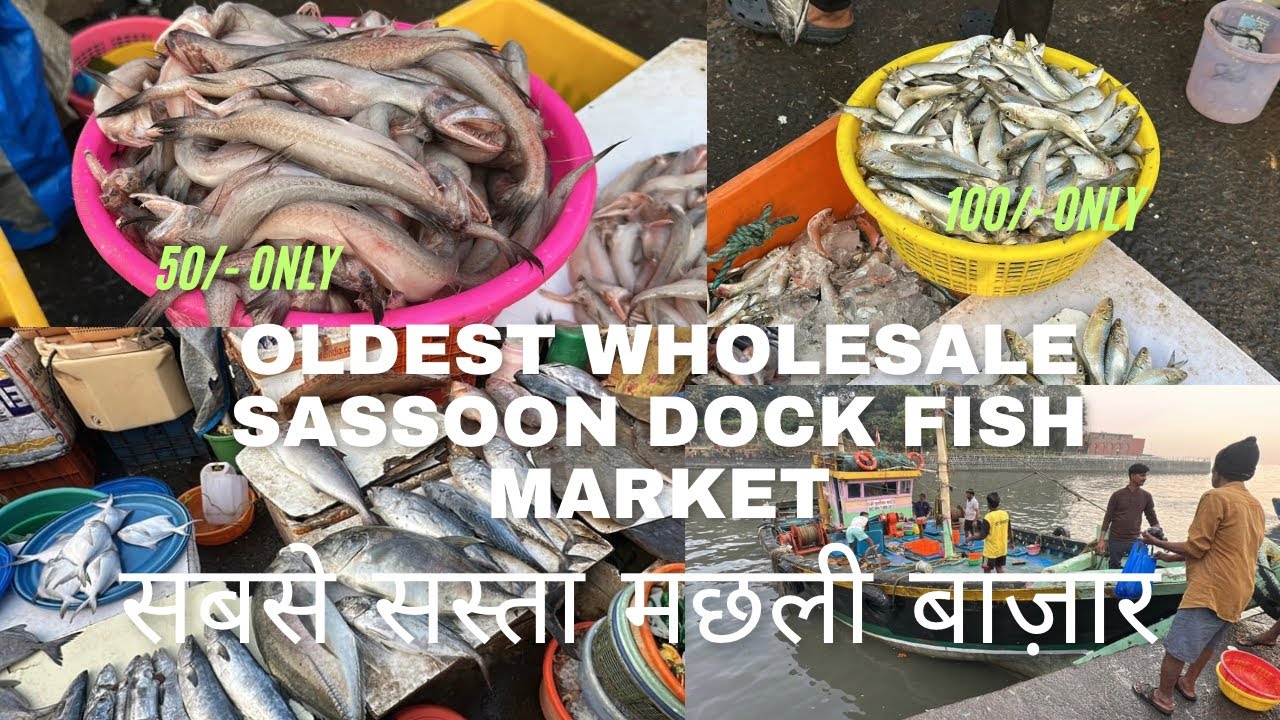 Sassoon Dock Fish Market | Colaba Fish Market | Oldest Fish Market in Mumbai