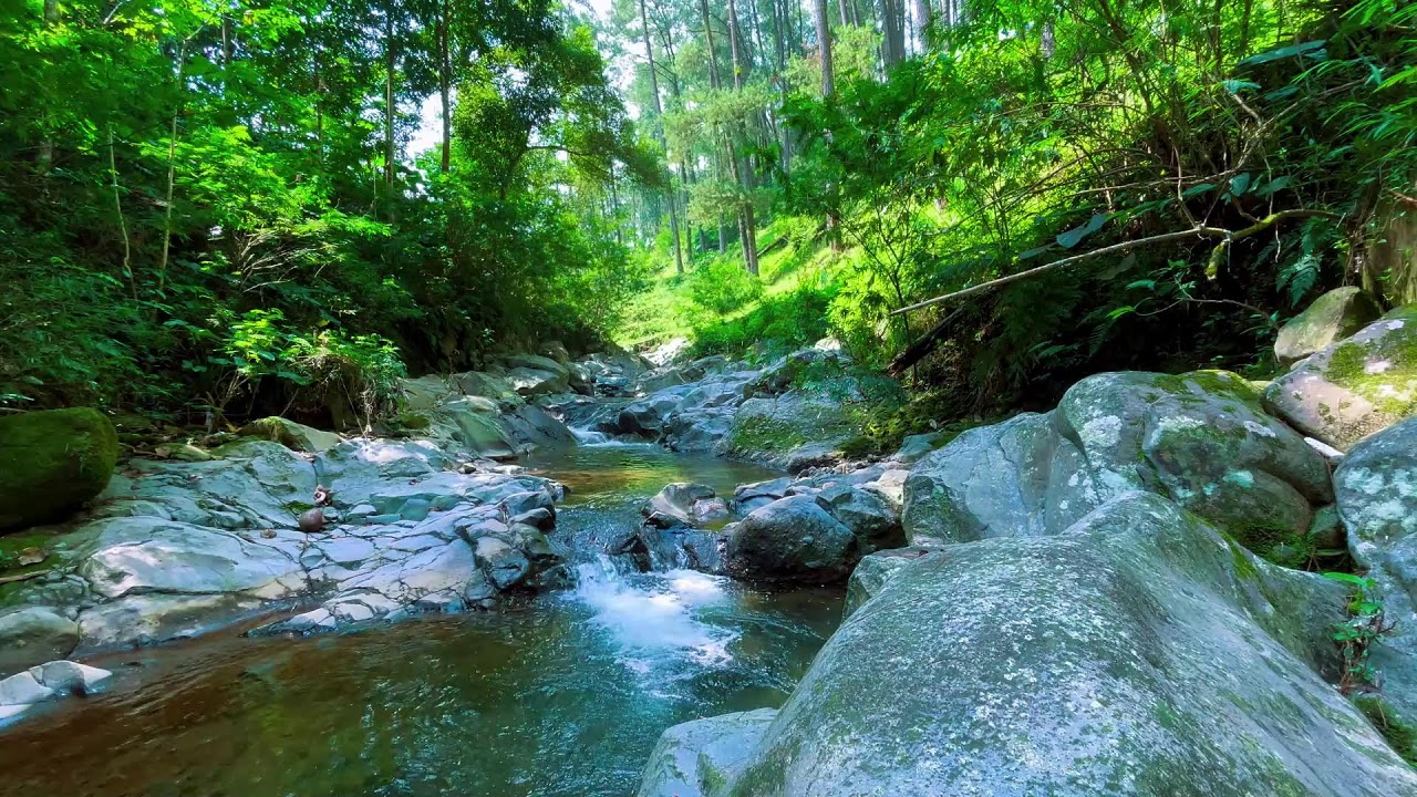 10Hrs of Trickling Water Guaranteed to Help You Sleep, Relax or Study