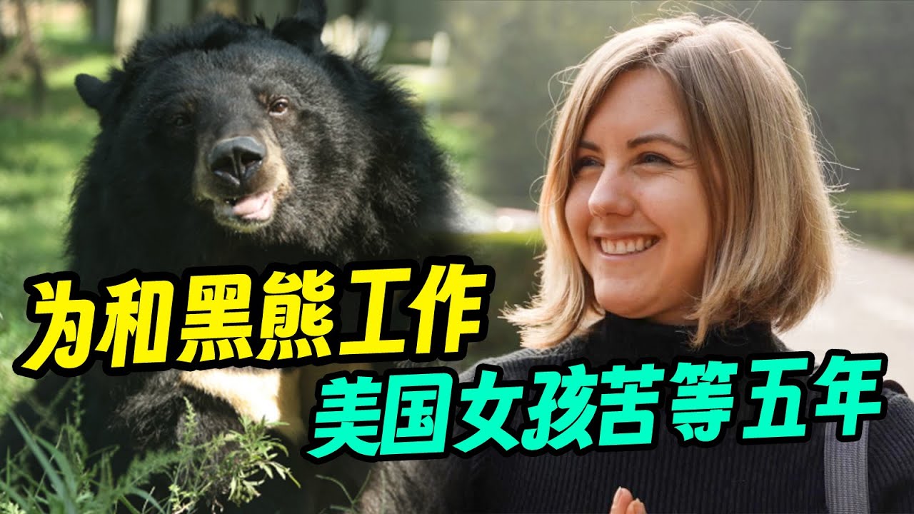 美国女孩痴迷亚洲黑熊，等待五年只为来中国工作？【我住在这里的理由 360】成都阿曼达篇 上