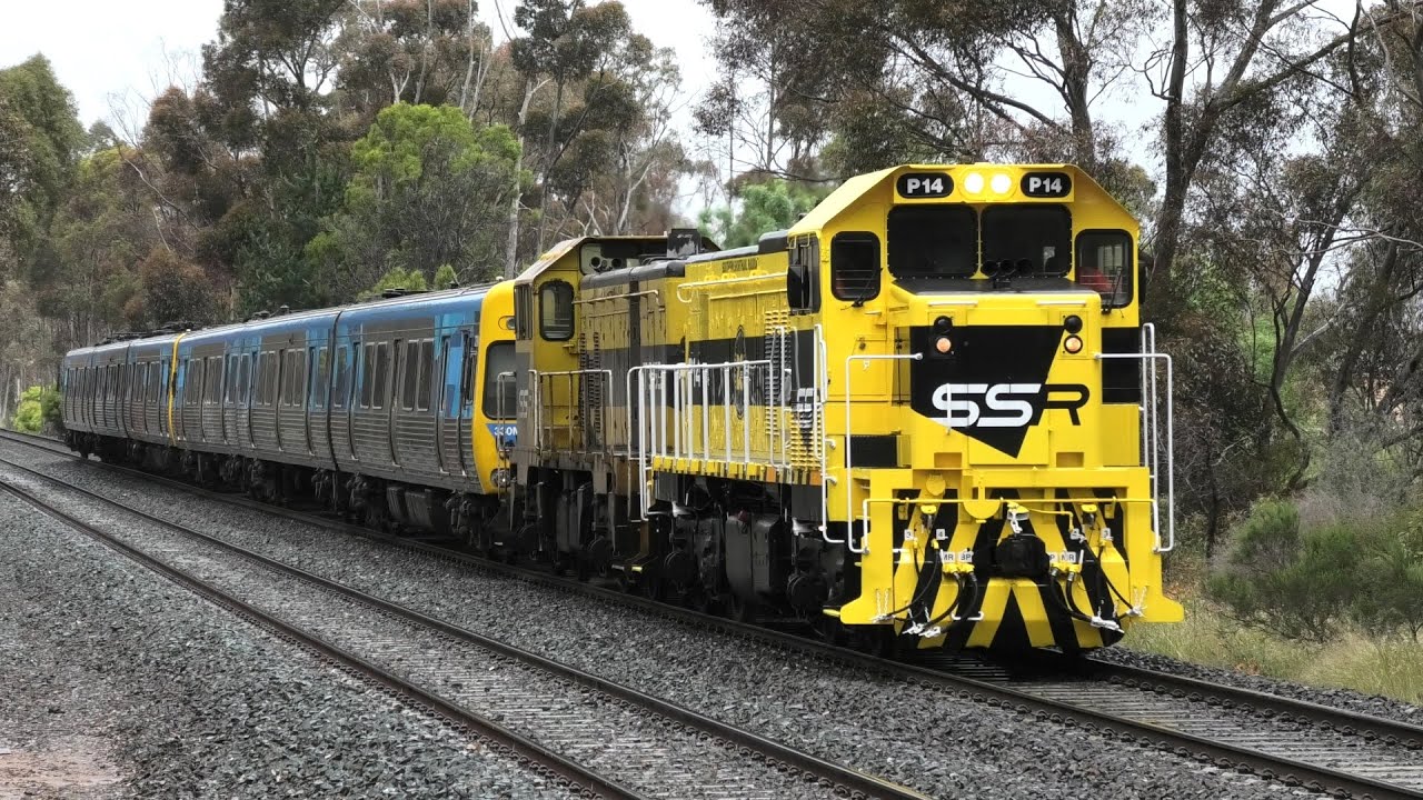 P14 - T363 on 9083 at Golden Square.  01-11-22.