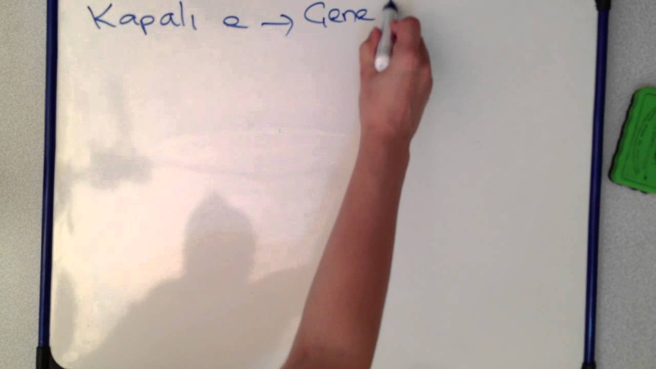 Diksiyon Dersleri - Okuma Kuralları 2