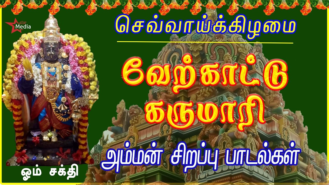 இல்லத்தில் சந்தோஷம் என்றும் நிலைத்திட கேட்க வேண்டிய அம்மன் பாடல்கள் | நினைத்த காரியம் கைகூடும்