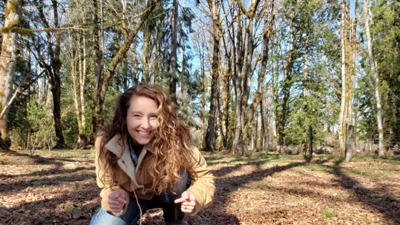 Planting America's LOST fruit | Growing Paw Paw Trees