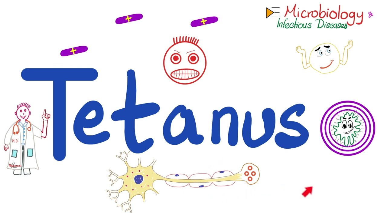 Столбняк (Clostridium tetani) | Микробиология 🧫 и инфекционные заболевания