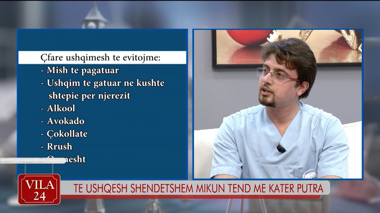 Si të ushqejmë këndshëm miqtë tanë me katër putra. Këshilla nga veterinerët…