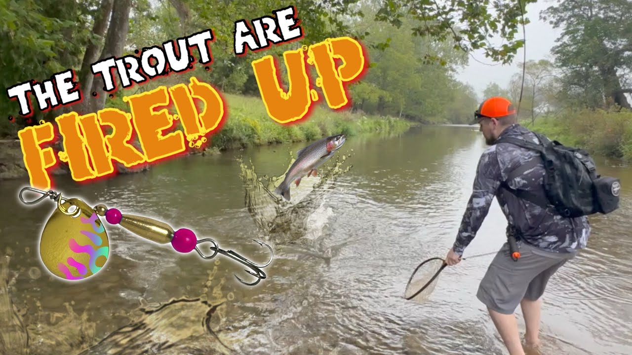 Клев был просто ОГОНЬ на трофейной форели Blue Springs Trophy Trout Fishing Pickles Bottom (БОЛЬШ...