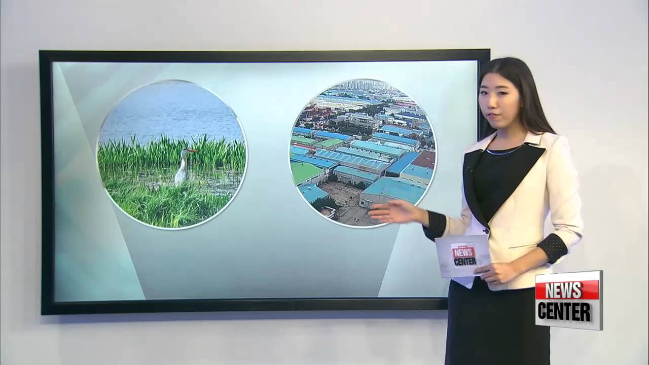 N. Korea unveils list of its firms that is allowed foreign investment in Rason S