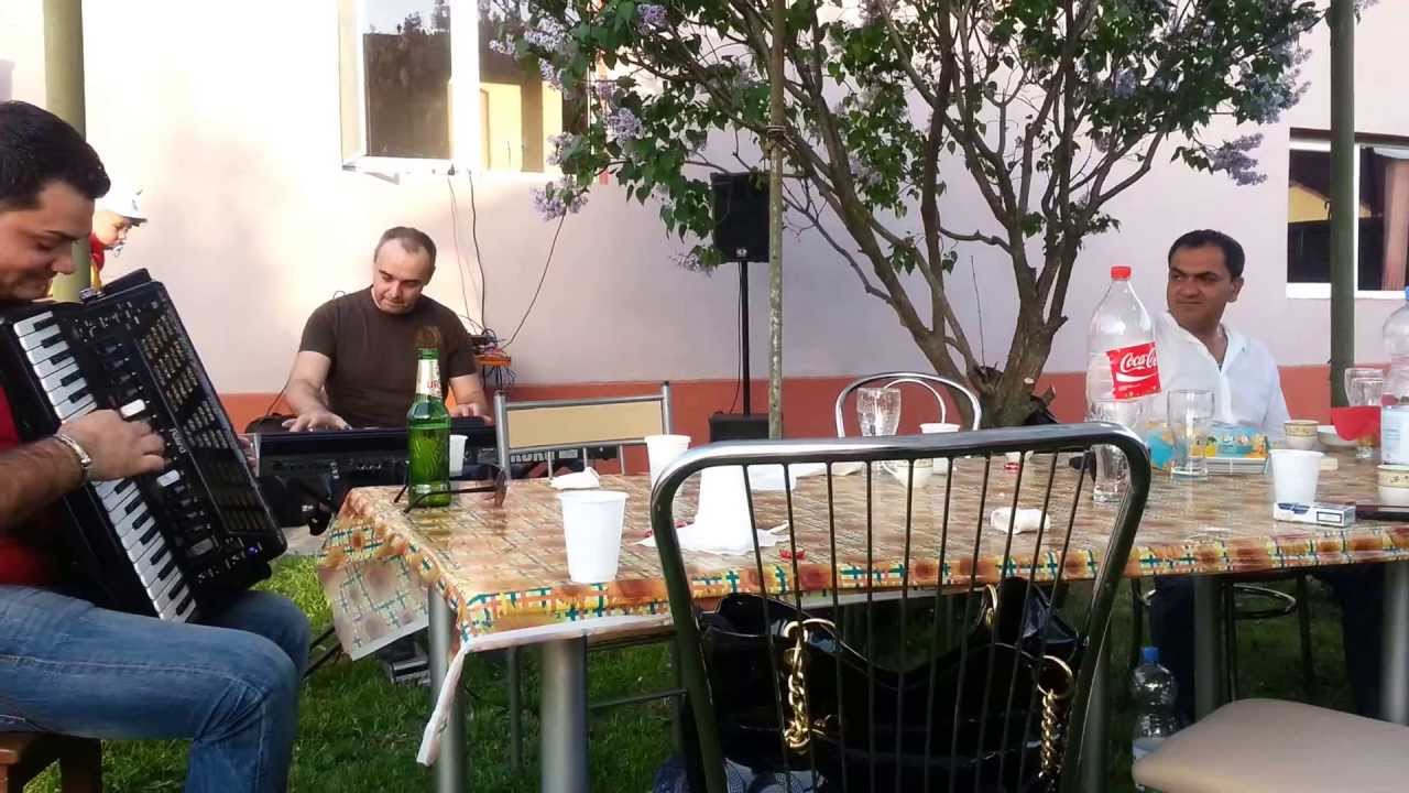 TOSA SI TVEIA PETROVICI SATCHINEZ 2013