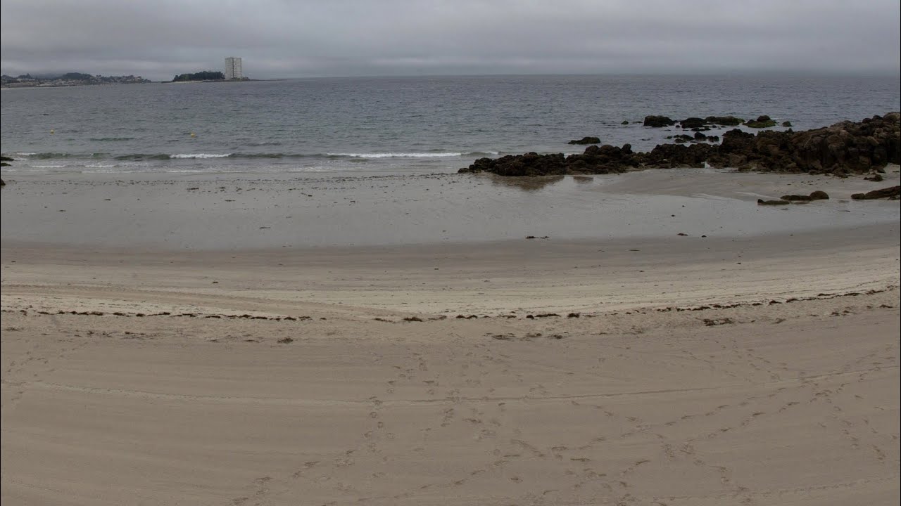 El Mar Menor se encuentra en estado crítico