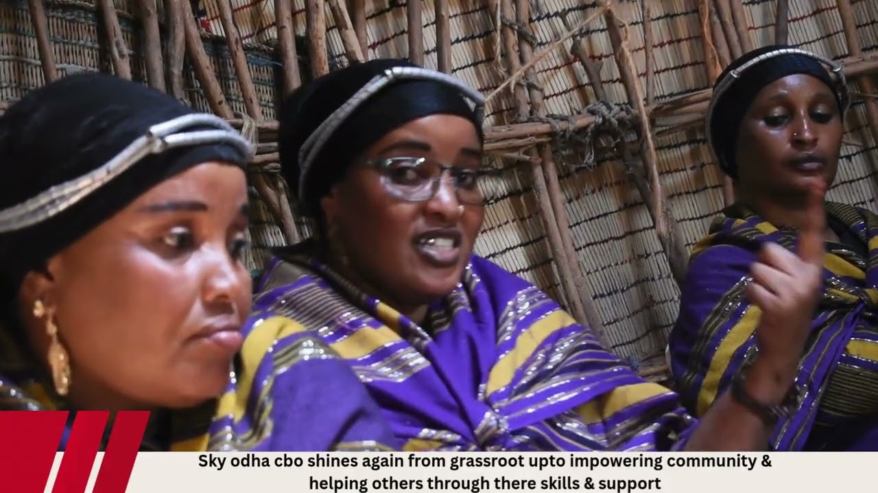 Sky odha story