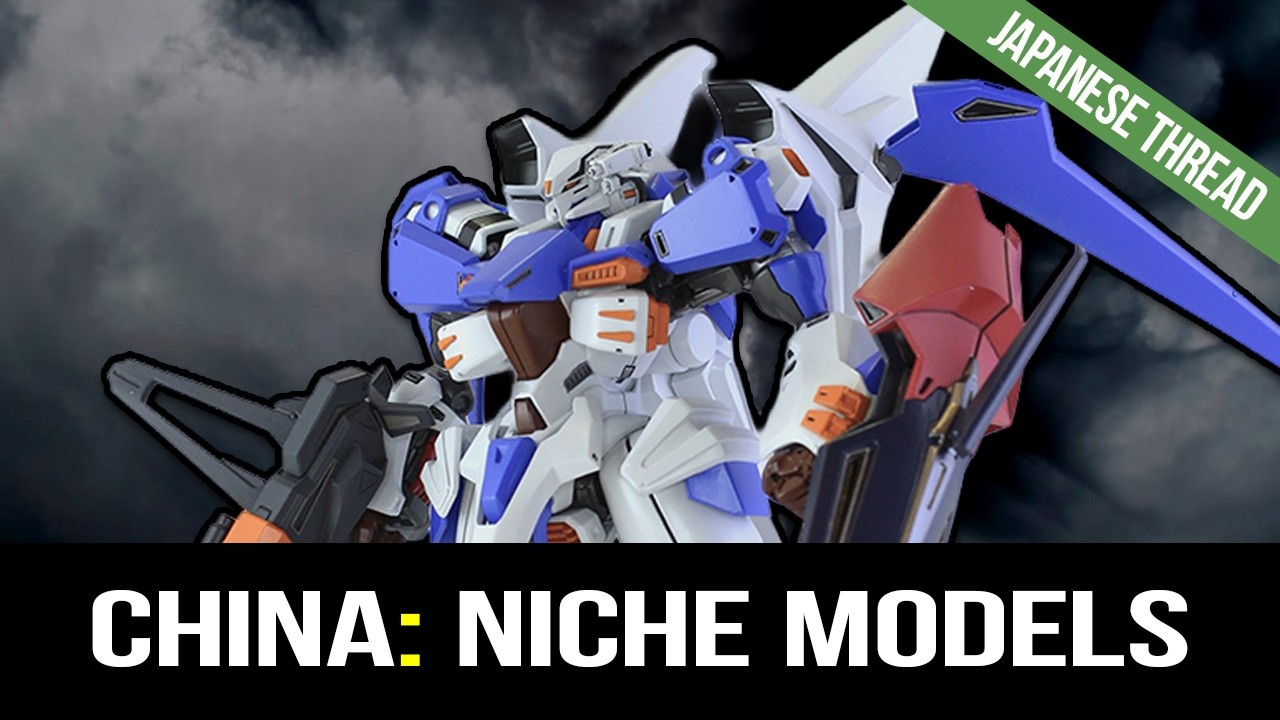 China's Plastic Models: Pursuing a Niche Path— Fan Reactions