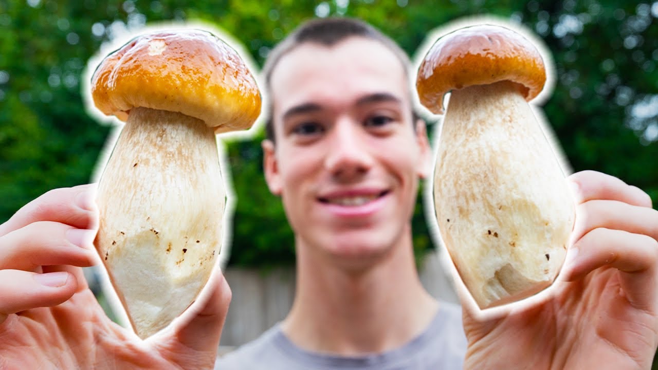 The Addictive World of Foraging Mushrooms