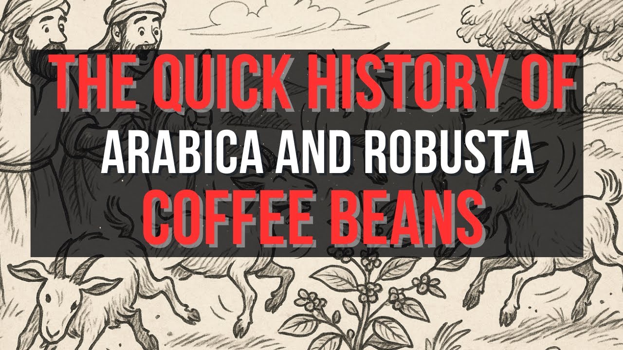 Where Do Coffee Beans Come From? History, Varieties & Why Elevation Matters