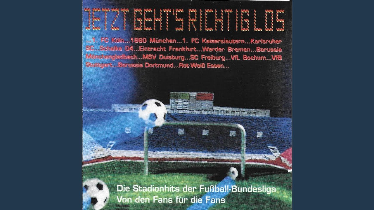 VfL - Wir steh'n zu Dir