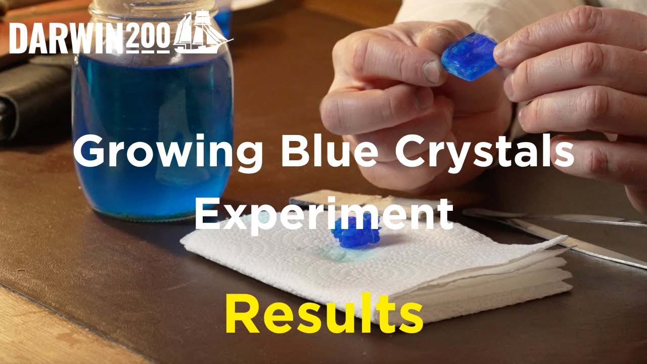 RESULTS - Growing Blue Crystals Experiment (Segment from World's Most Exciting Classroom Episode 35)