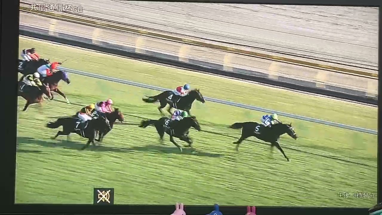 【競馬実況動画2026】第60回共同通信杯（トキノミノル記念）リアライズシリウス（津村明秀）