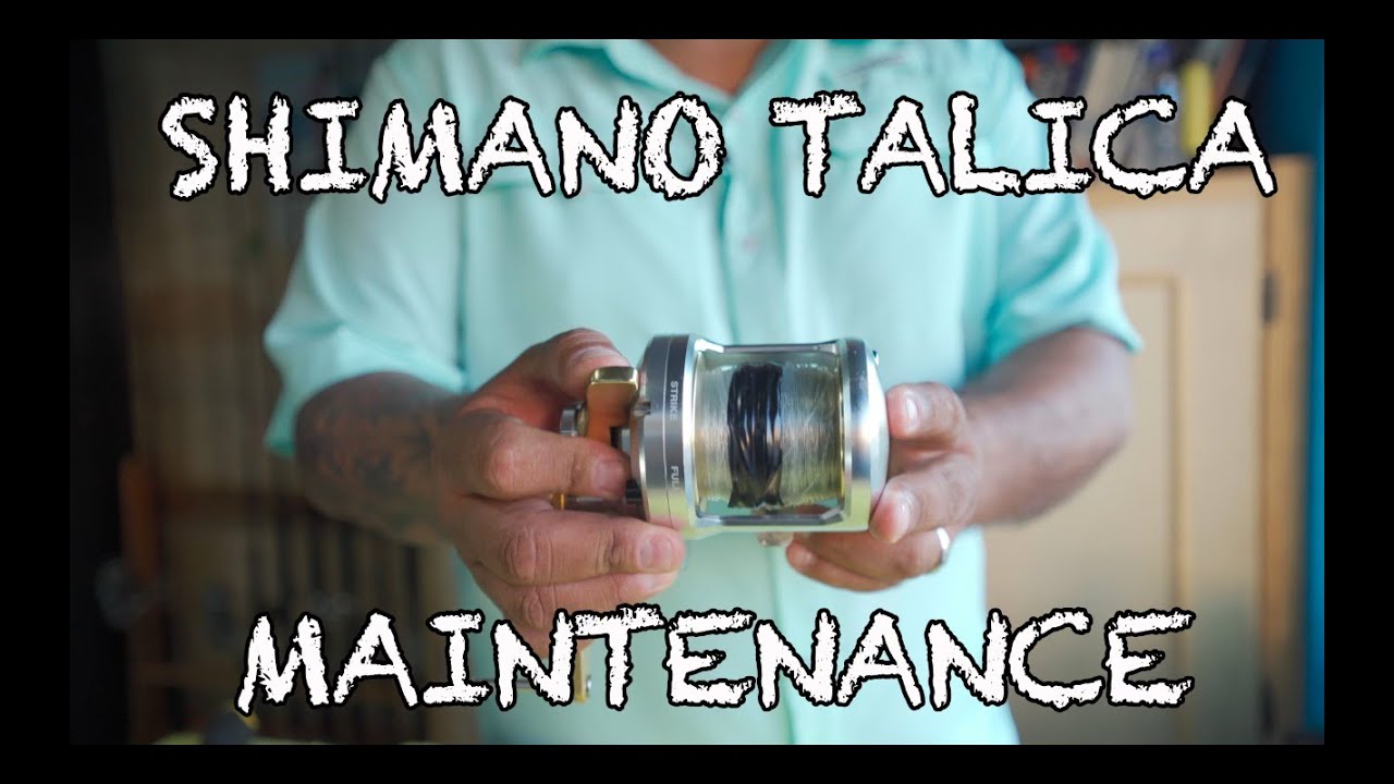 Maintenance Tips for Shimano Talica 16 II: Keep Your Reel Running Smoothly Every Season