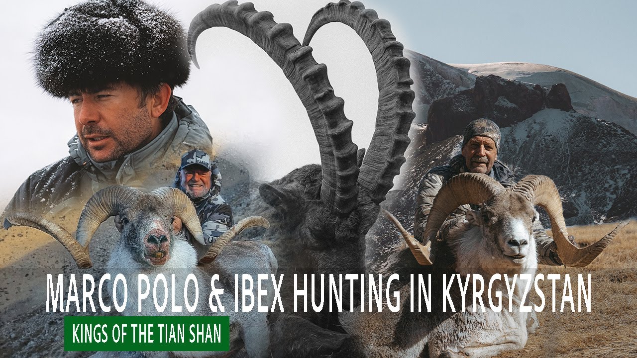 Marco Polo & Ibex Hunting in Kyrgyzstan - Kings of the Tien Shan | Camino Real Hunting Consultants