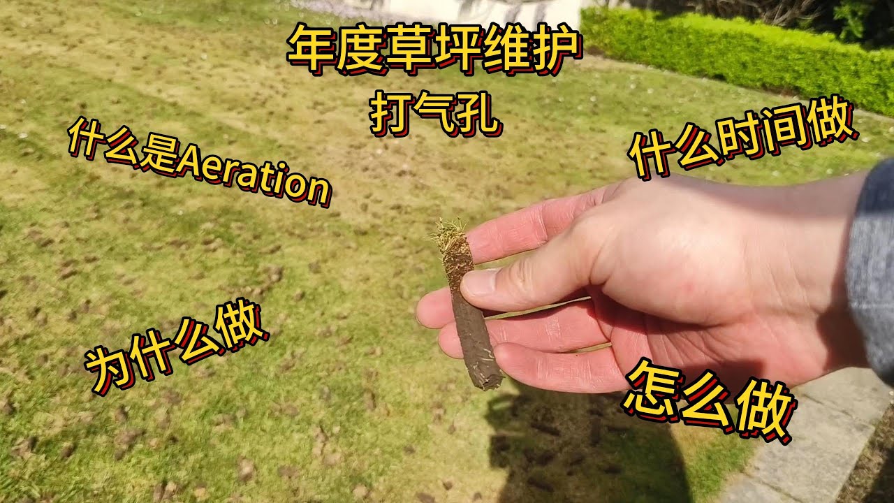 【居家DIY】年度草坪维护——Aeration 打气孔【懒人包】