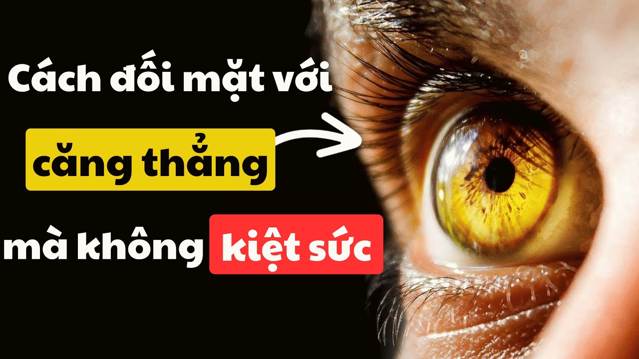 Khoa học về STRESS 🔥: Bí Quyết Làm Việc Hiệu Quả Dưới Áp Lực Dồn Dập (mà k BURNOUT)