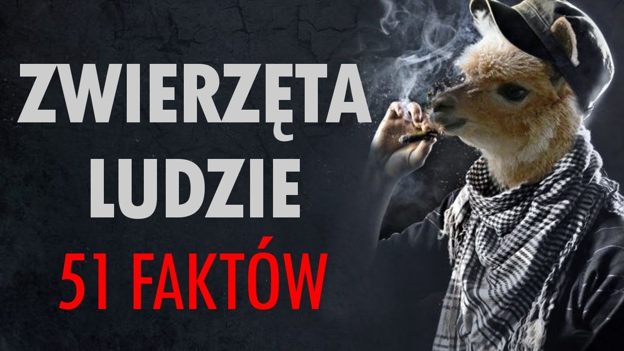 ZWIERZĘTA I LUDZIE - 51 FAKT&Oacute;W PRO100 ZMOSTU