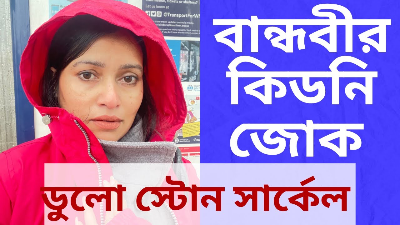 বান্ধবী বললো কিডনি বেচে দিলেও টাকা দেবে! ওদিকে  ভ্লগ বানাতে গিয়ে টাকা বাঁচল 