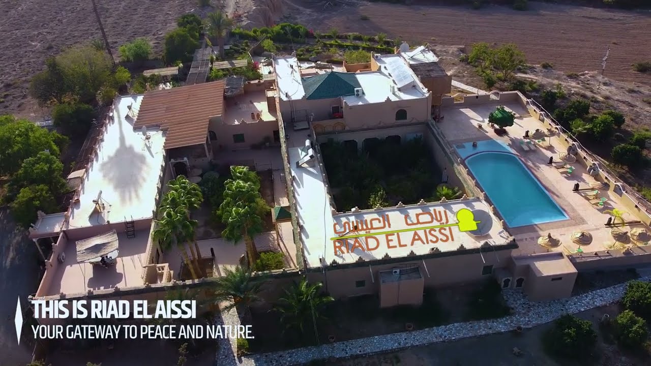 Riad el aissi Promo video 2024